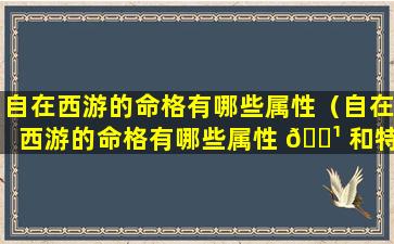 自在西游的命格有哪些属性（自在西游的命格有哪些属性 🌹 和特性）